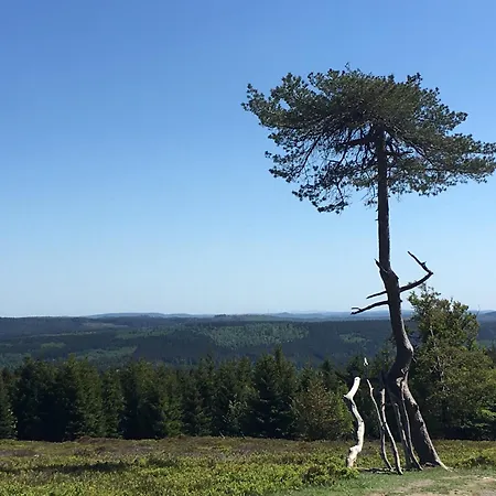 Berg- Und Seeblick Apartment Winterberg