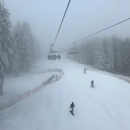 Berg- Und Seeblick Winterberg