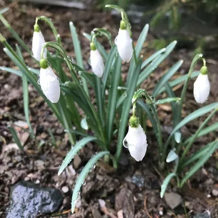 Berg- Und Seeblick Appartement *