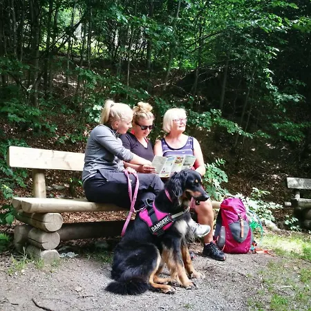 Berg- Und Seeblick *