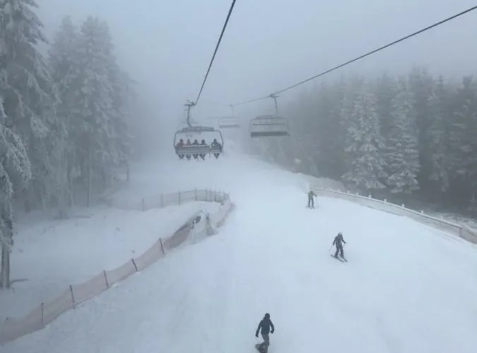 Berg- Und Seeblick Winterberg