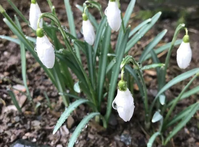 Berg- Und Seeblick Apartamento *