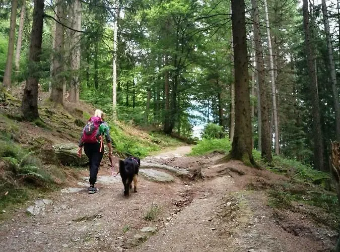 Berg- Und Seeblick * Winterberg